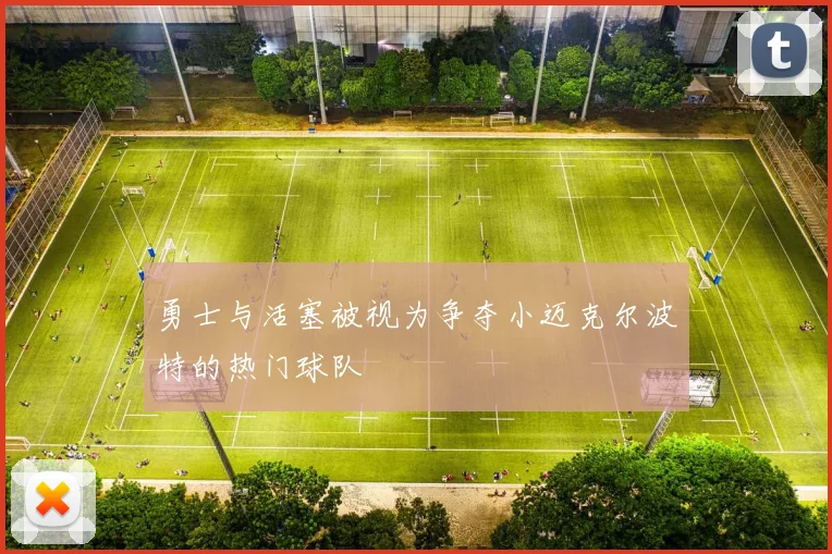 勇士与活塞被视为争夺小迈克尔波特的热门球队