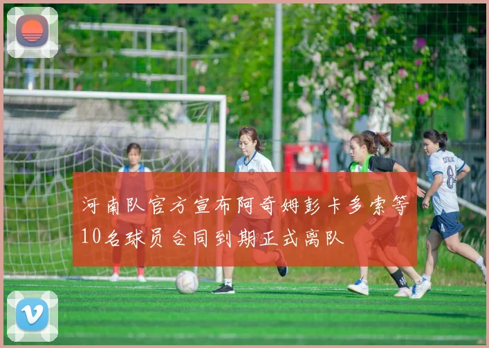 河南队官方宣布阿奇姆彭卡多索等10名球员合同到期正式离队