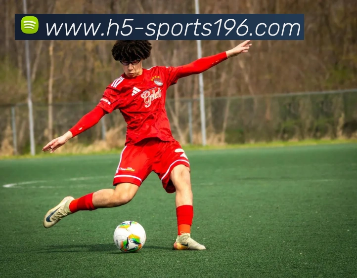 196体育平台生态图