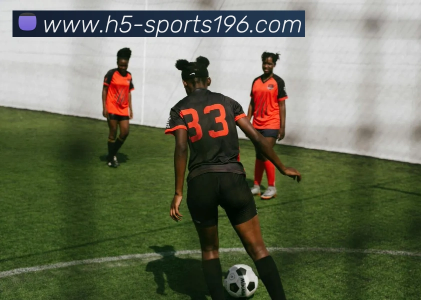 196体育APP 封面图